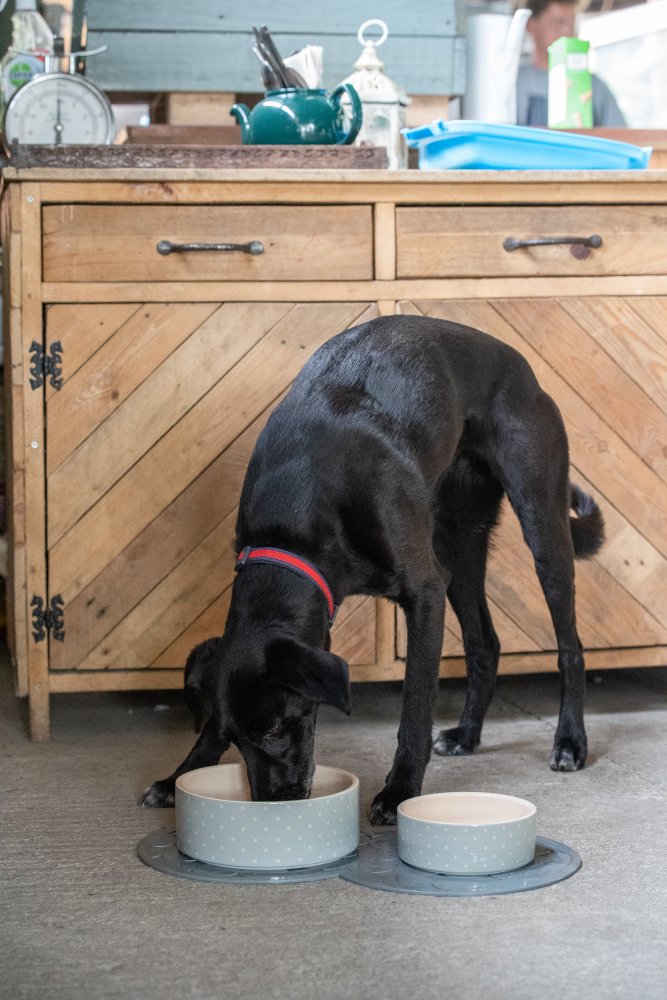 Grey Rubber Placemat