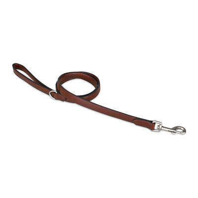 Brown leather dog lead with a sturdy metal clip