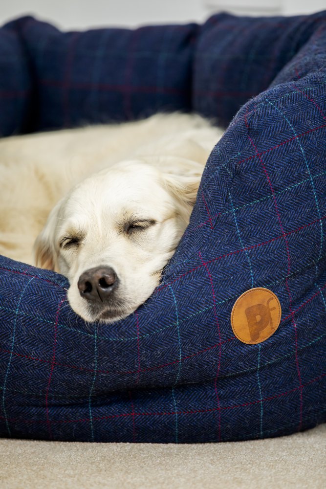 Dog Beds