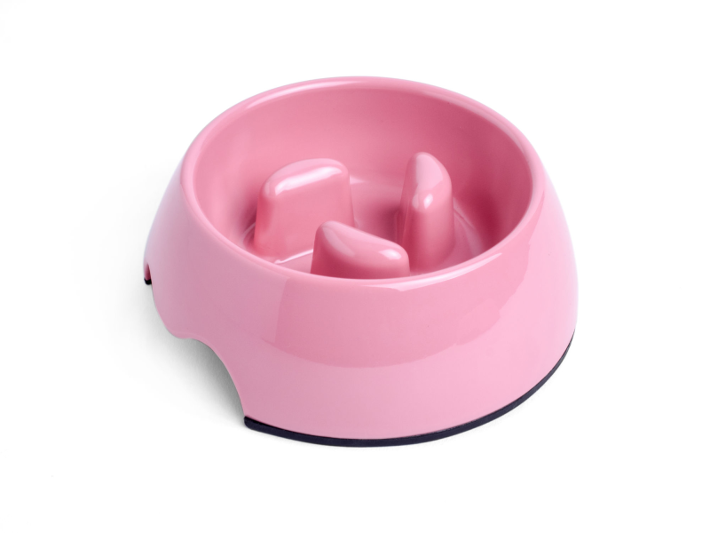 Pink pet bowl with raised edge on a white background