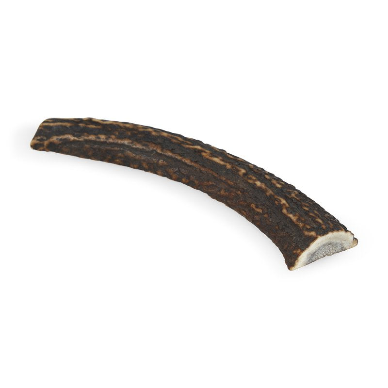 Curved piece of antler on a white background