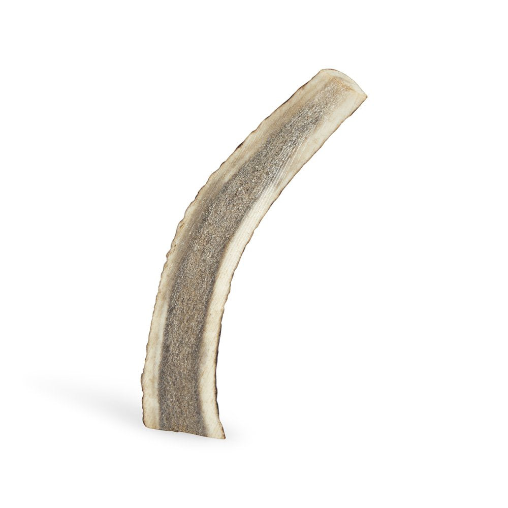 Dog chew antler on a white background