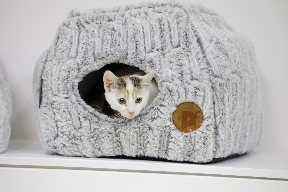 Cat peeking out from a gray textured pet bed on a white surface