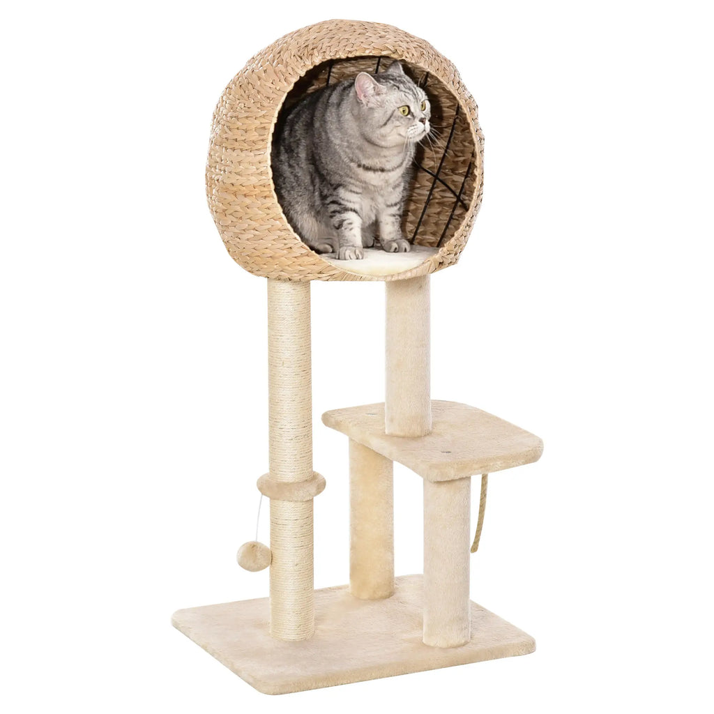 Cat sitting inside a woven cat house on a wooden cat tree with a white background