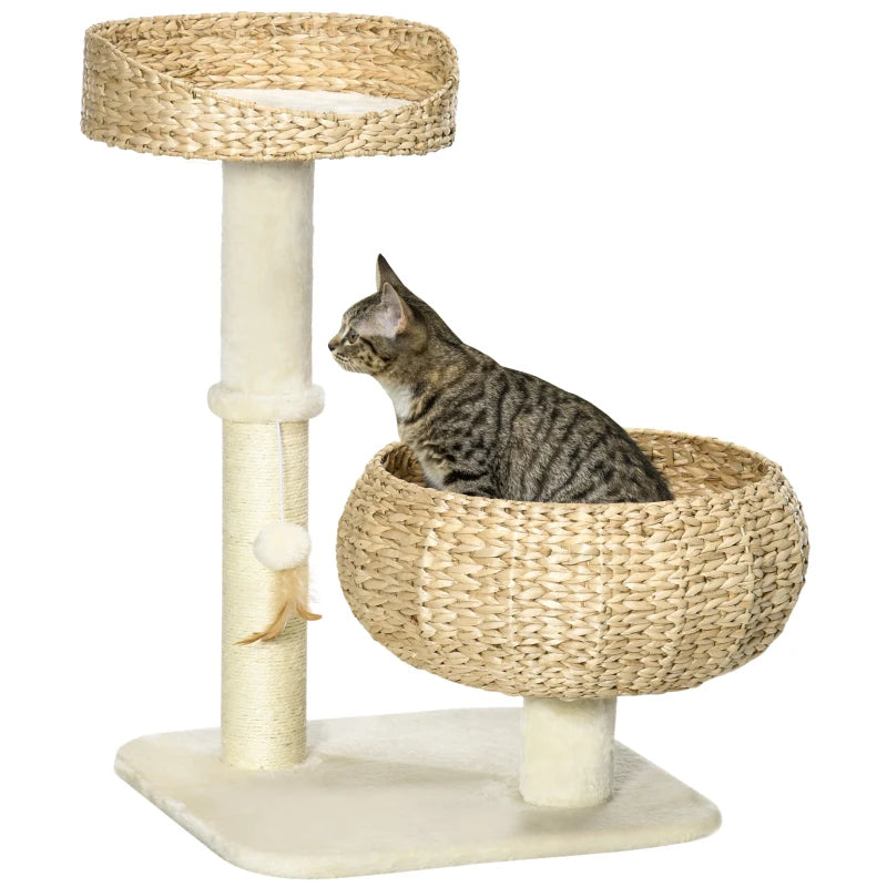 Cat sitting in a woven cat tree with a white background
