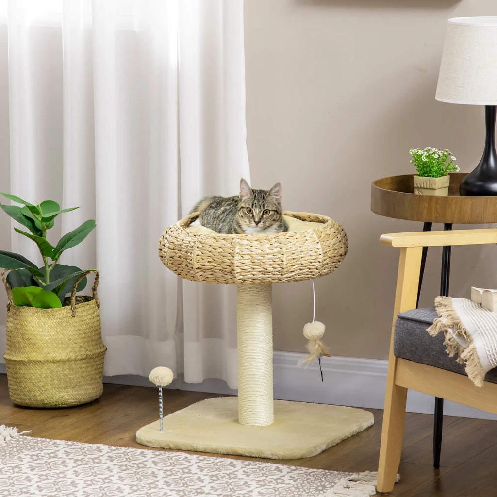 Cat lounging on a woven cat tree in a home setting with plants and furniture.