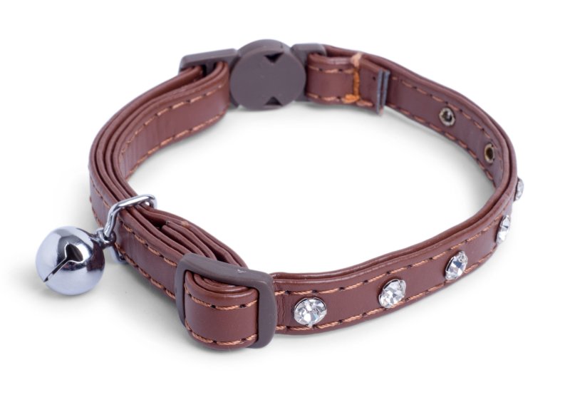 Brown leather cat collar with silver bell and crystals on a white background