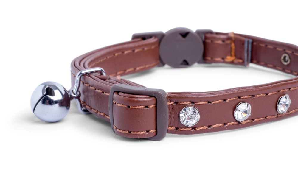 Brown leather cat collar with rhinestones and a bell on a white background