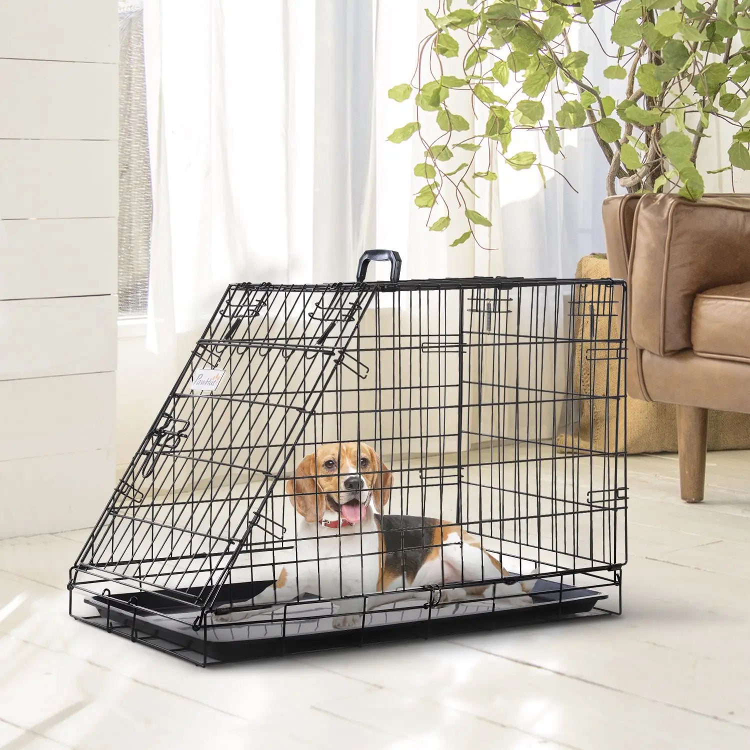 Dog inside a black metal pet crate in a home setting with a plant and sofa.