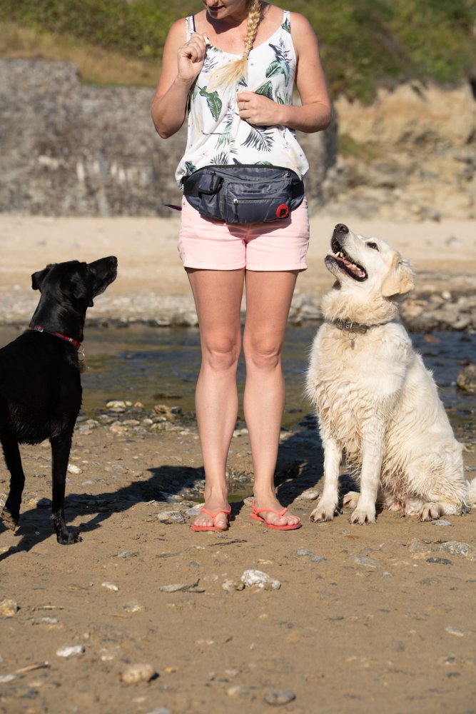 Woman standing on a beach with two dogs, one black and one white, looking up at her wearing a bum bag. 