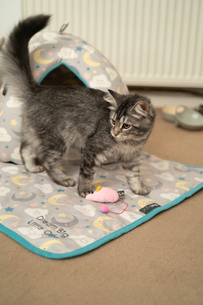 Gray kitten playing with a pink toy on a patterned blanket. 