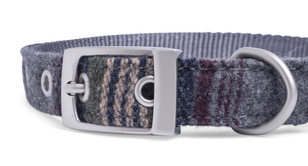 Patterned dog collar with a silver buckle on a white background