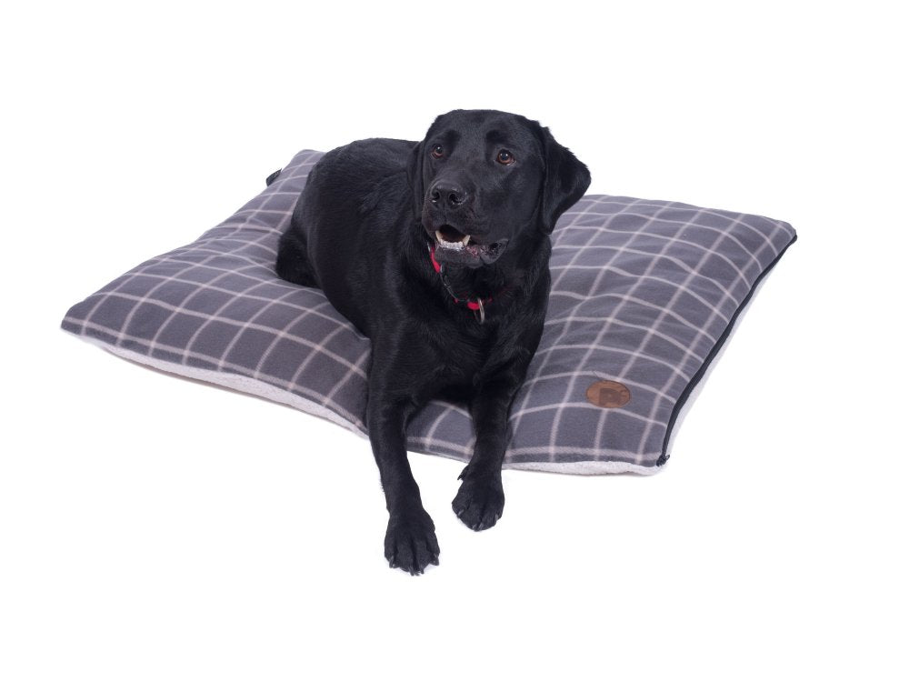 Black dog lying on a gray checkered dog bed with a white background