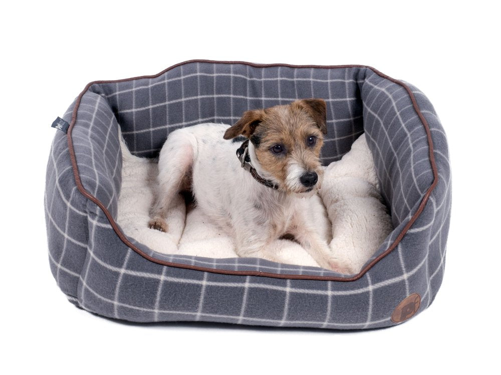 Dog lying on a gray checkered pet bed with white padding