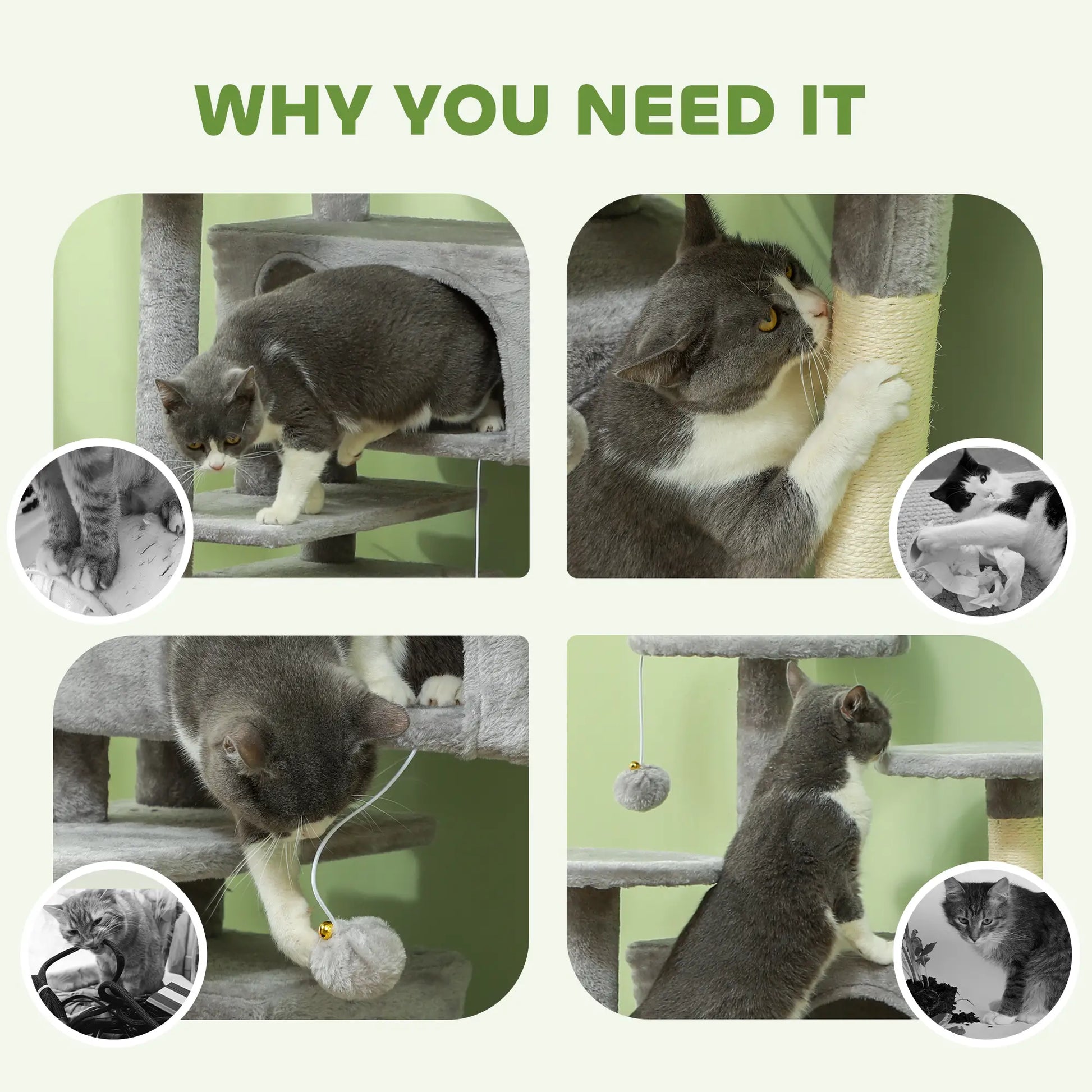 Collage of a cat interacting with a scratching post and toy, with text 'Why You Need It' at the top.