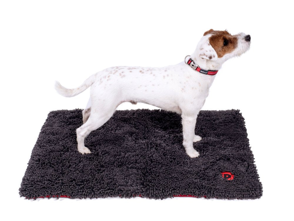 Dog standing on a gray mat with a white background