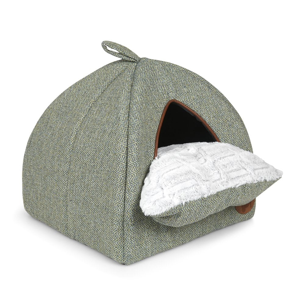 Green pet tent with white interior on a white background