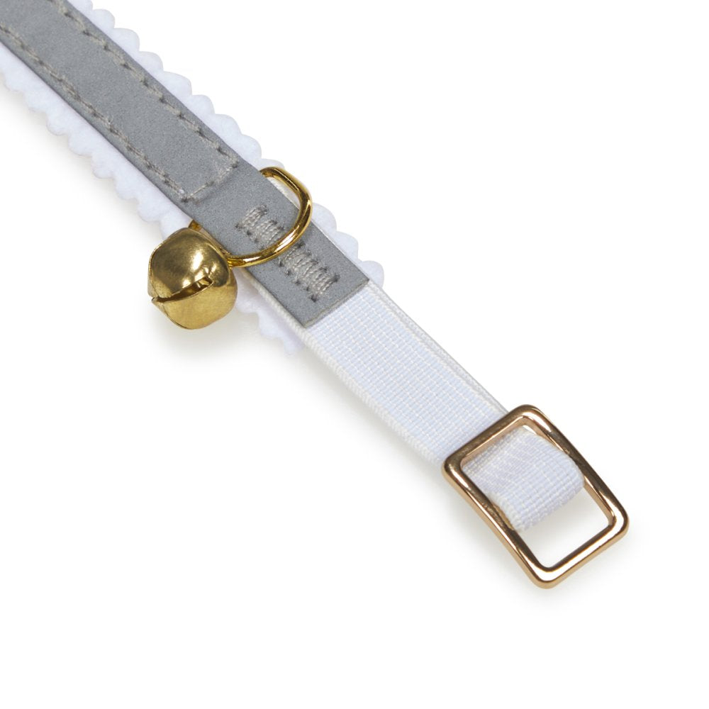Close-up of a dog collar with gold hardware on a white background