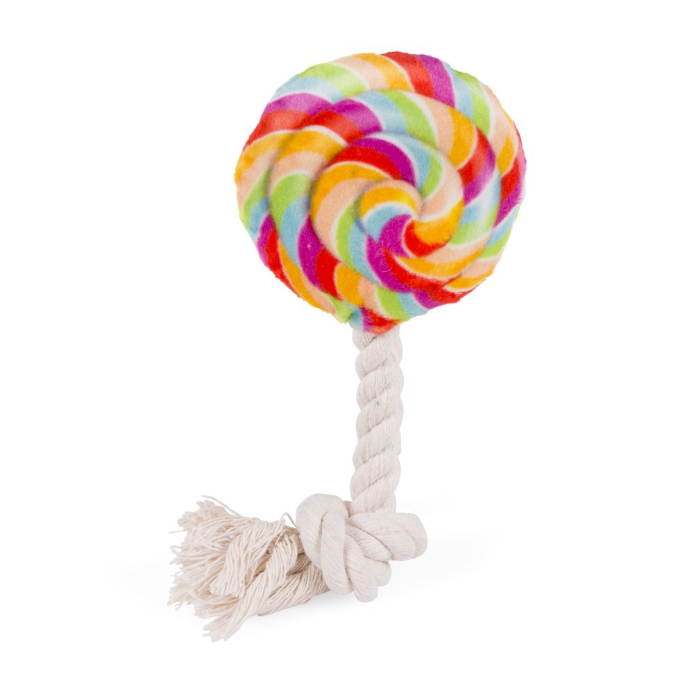 Colorful lollipop-shaped toy with a rope on a white background