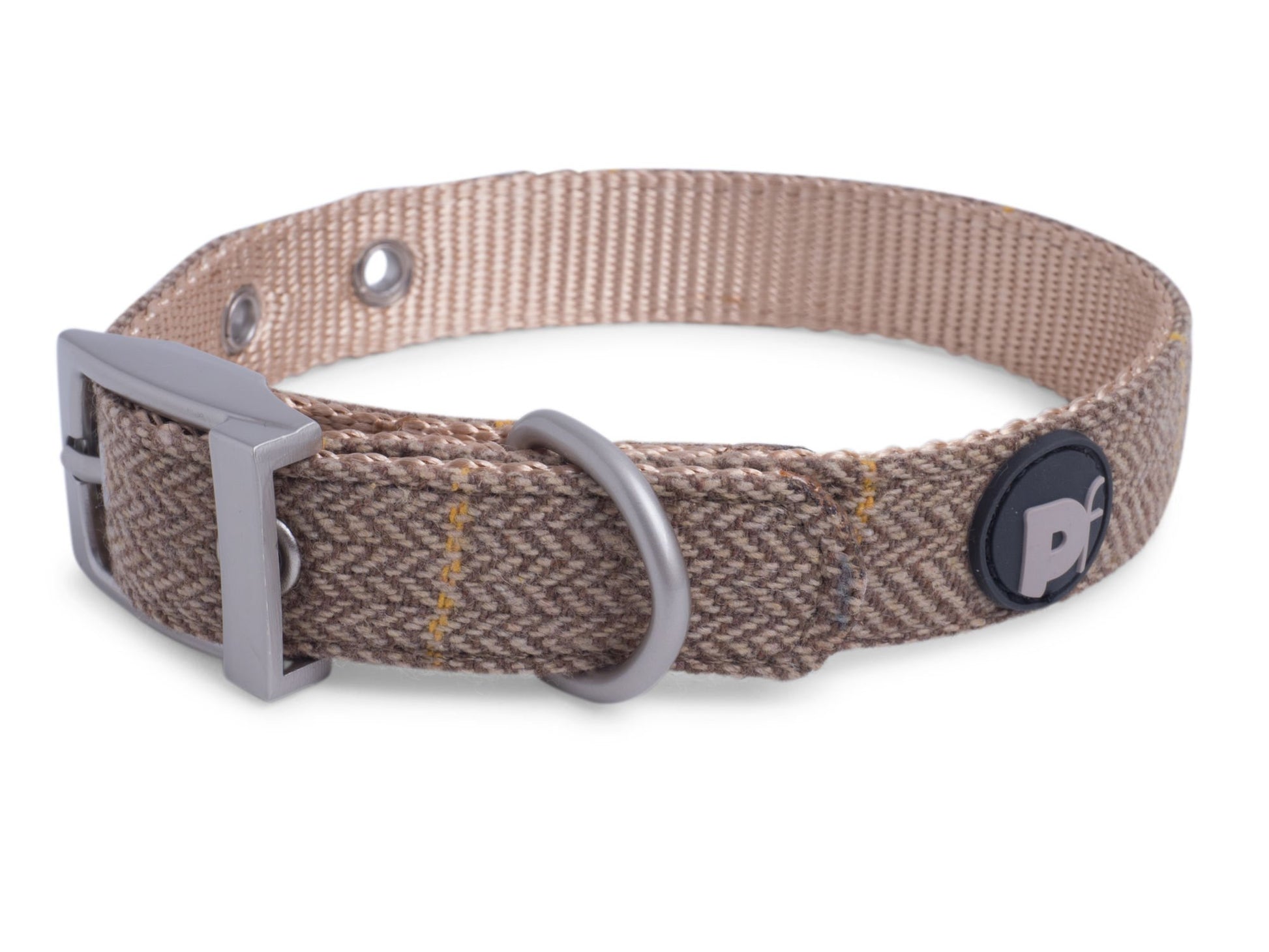 Brown dog collar with metal buckle on a white background