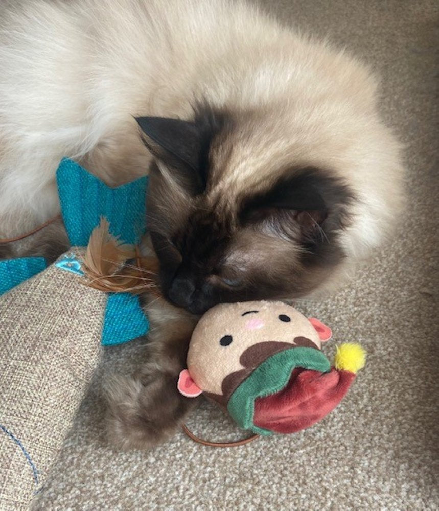 Cat Christmas Bundle