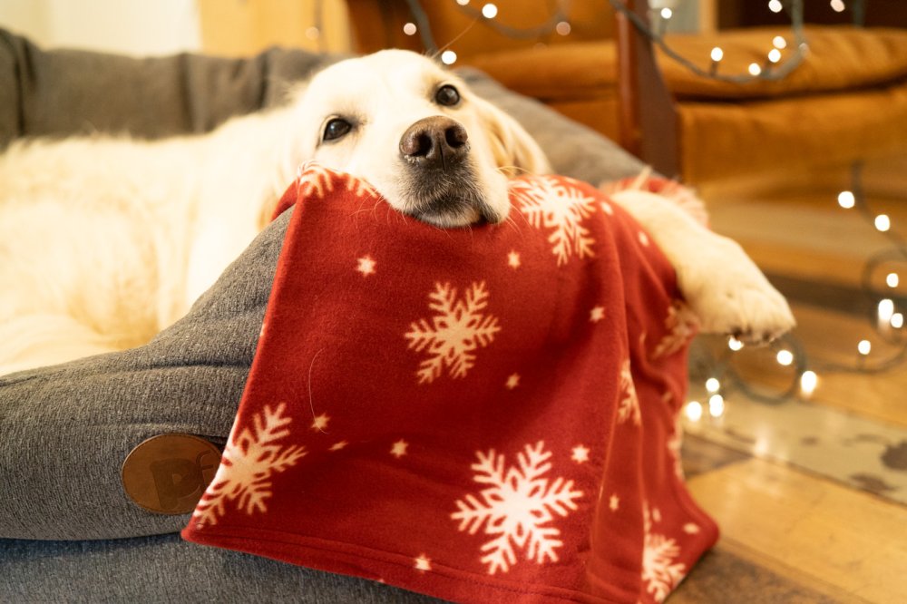Snowflake Christmas Fleece