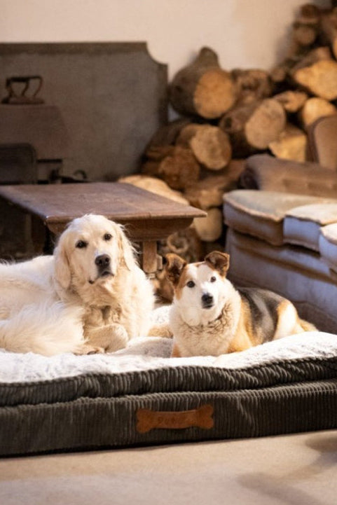 Ultimate Luxury Memory Foam Pet Bed