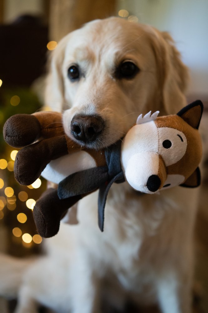 Fox Plush Dog Toy
