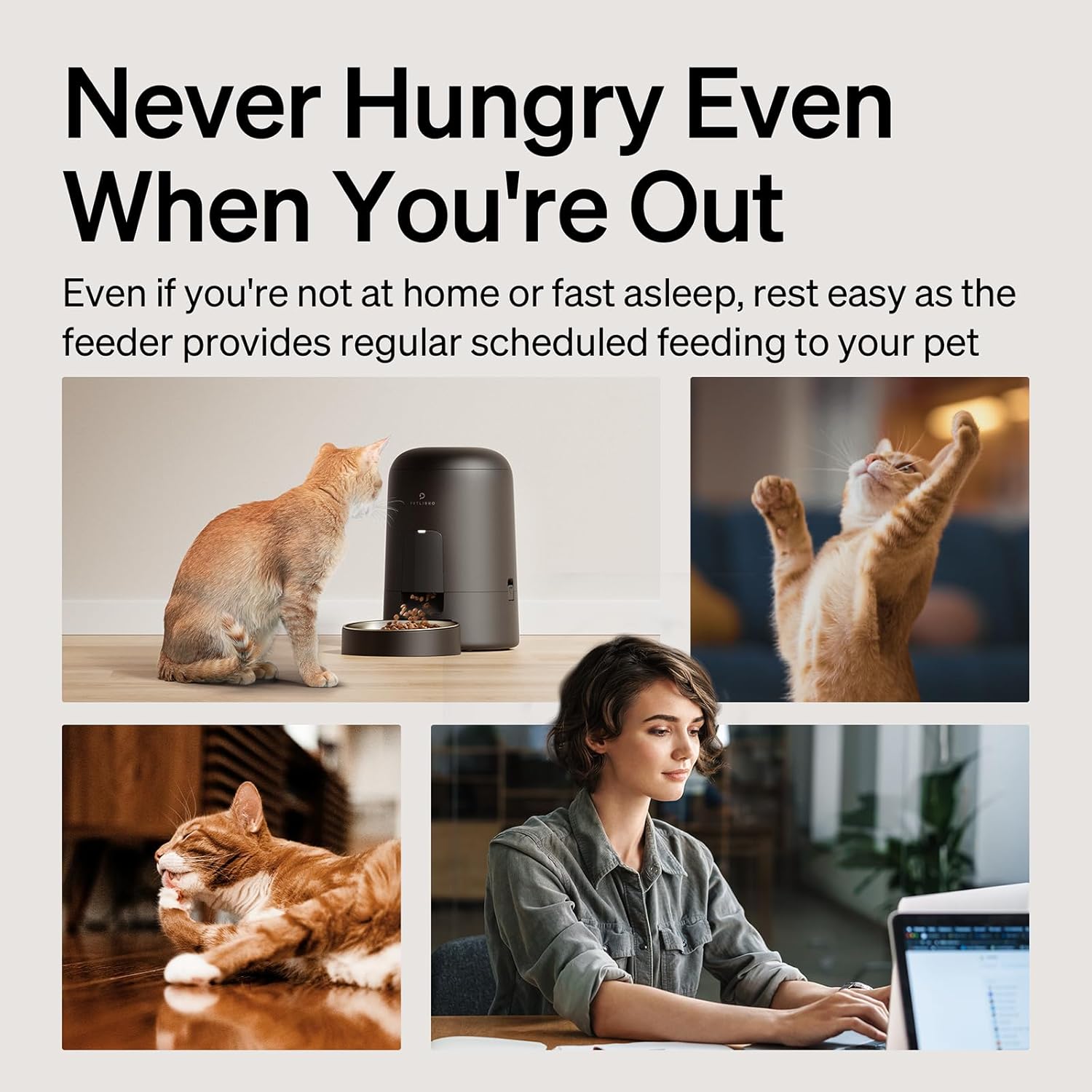 Petlibro 2 Litre Automatic Pet Feeder