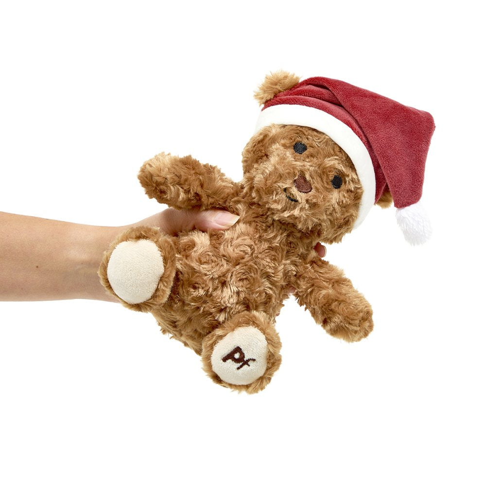 Cassie Christmas Teddy
